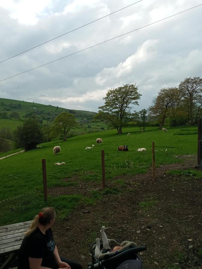 Orchard Meadow Shepherd Huts Leek-Buxton-Ashbourne Upper Elkstone Kültér fotó
